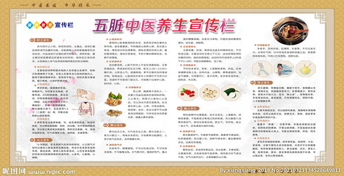 五脏中医养生 调和阴阳，身心和谐