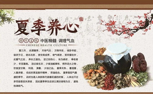 夏季中医养生指南 科学调养，安度盛夏